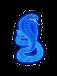 pic for Blue Cobra 240X320